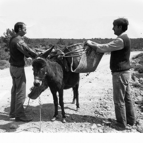 Μεταφορά χώματος για την δημιουργία πηλού (1999) 